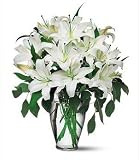 Send Fresh Cut Flowers - 20 White Oriental Lilies