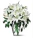 Send Fresh Cut Flowers - 20 White Oriental Lilies