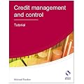 Credit Management and Control: Tutorial (AAT Accounting - Level 4 Diploma in Accounting)