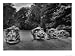 Griffins Heads, Wallington Hall, Northumberland, England Art Giclee Poster Print by Simon Marsden, 12x9