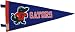 2006 NCAA Baskeball Champs Florida Gators - NCAA College Vault Chennile Pennant NCAA (Pennant Wallhanging)