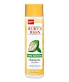 Burt's Bees More Moisture Baobab Shampoo, 10 Fluid Ounces from Burt's Bees, Inc.
