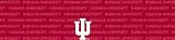 Indiana Hoosiers Team Auto Visor Decal