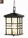 Trans Globe 4638 WB Craftsman - Two Light Outdoor Hanging Lantern, Weathered Bronze Finish with Seed