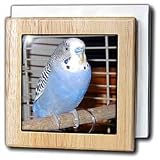 Blue Parakeet - 6 Inch Tile Napkin Holder
