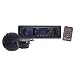 Pyle PLMRKT13BK In-Dash Marine AM/FM PLL Tuning Radio with USB/SD/MMC Reader