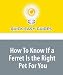 How To Know If a Ferret Is the Right Pet For You: Learn the Proper Care For a Ferret
