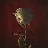 Image de lalbum de {0}