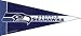 Football Pennants: NFL Mini Seattle Seahawks Pennant