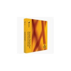 SYMC BACKUP EXEC SYSTEM RECOVERY MANAGER 8.0 WIN ML CD BNDL BUS PACK ESSENTIAL 12 MO