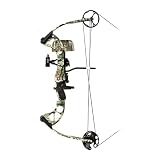 Precision Shooting Equipment Stinger NI Ready To Shoot Compound Bow Package (29/70, Right Hand)