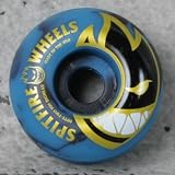 SPITFIRE�ڥ��ԥåȥե����䡼�ۥ������ȥܡ��ɥ������� Bighead Swirl Black&Blues