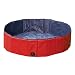 Guardian Gear Polyvinyl Chloride Large Dog Pool, Red/Blue
