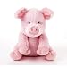 Soframar - Bouillotte à Graines Peluche - Cozy Cochon