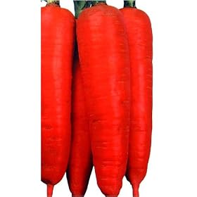 �����N�g�咷(��ʎ�)