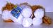 Webkinz Retired GOLD and WHITE CAT - Rare First Edition with No Magic W