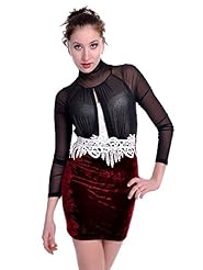 Velvet Long Sleeves Embroidered Sheer Lace  Dress