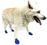 Pawz All Weather Rubber Dog Boots - 12 per pack - MEDIUM (BLUE)