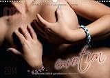 Image de emotion Kalender (Wandkalender 2014 DIN A3 quer): Die intime Erotik der emotionalsten Augenblicke (M