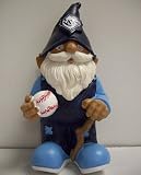 MLB Tampa Bay Rays Mini Gnome