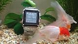 MW08 Water Proof Stainless Steel Quad Band Unlocked Watch Mobile Phone