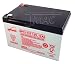 EnerSys Genuine NP12-12T 12 V 12 Ah GENESISTM NP Battery w/ F2 Terminals