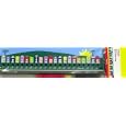Kinesthetic Number Line