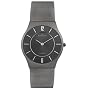 Skagen Men's Titanium Mesh Watch #233LTTM
