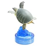 カプセル 日本水族館立体生物図録 カプセルアクアリウム3 9.ブタハナガメ