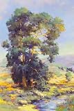 Afternoon At Clear Creek, Art Poster by Jennie Tomao-Bragg