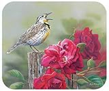 Fiddler's Elbow Meadow Lark Mouse Pad