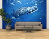 Small Fish Swim Along with a Whale Shark, Rhincodon Typus by Brian J. Skerry, 96x144