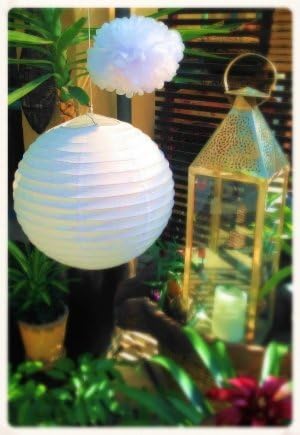 6 paper lanterns Quirky