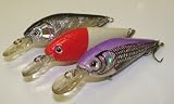 3 Set L3Z Shad Custom Lures Plugs Crankbaits Bass Fishing Set L3Z 41ShqIYZ7wL. SL160 3 Set L3Z Shad Custom Lures Plugs Crankbaits Bass Fishing Set L3Z