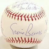1969 Chicago Cubs Team Autographed Baseball