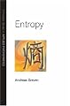 Entropy (Princeton Series in Applied Mathematics)