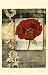 Poppy Poetry I - Jennifer Goldberger Art Print Poster 18 x 28 Image