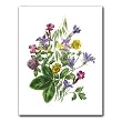Vibrant Bouquet - Gift Enclosure Cards (set of 12)