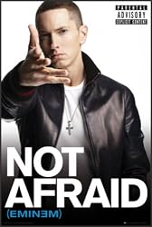 Eminem Not Afraid 23x35 Poster FRAMED