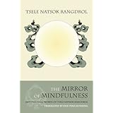 the mirror of mindfulness