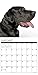 2016 Just Great Danes Wall Calendar