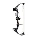Bear Archery Right Hand Brave 3 Bow Set (Black)