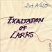 Exaltation of Larks