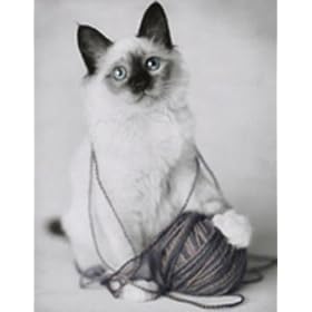 Kitten with Yarn by Unknown. Size 16.00 inches width by 20.00 inches height. High Quality Art Poster Print