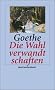 Die Wahlverwandtschaften: Ein Roman (insel taschenbuch)