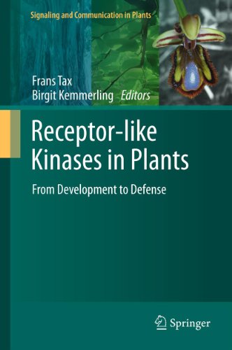Receptor-like Kinases in Plants: From Development to Defense: 13 (Signaling and Communication in Plants)