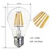 A19 LED Edison Style Bulb - 6W LED Vintage Filament Light Bulb 60W Equivalent - Soft White (2700K) - E26 Base - Non Dimmable - 1 Pack - by BIPEE
