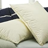 Everloft Superior Memory Loft Pillow