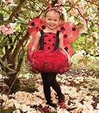 ladybug costume