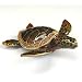 Wild Sea Turtle Box Swarovski Crystals Hawaiian Green Loggerhead Flatback Haw...